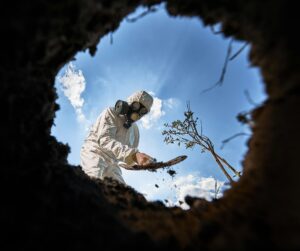 Ecologist digging pit by shovel and planting tree